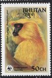 [Endangered Species - Gee's Golden Langur, type AEZ]