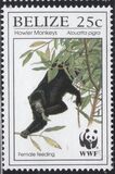 [Endangered Species - Howler Monkey, type ZQ]