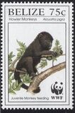 [Endangered Species - Howler Monkey, type ZS]