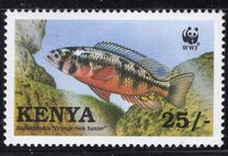 [Worldwide Nature Protection - Lake Victoria Cichlid Fish, tegund ZY]