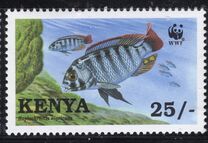 [Worldwide Nature Protection - Lake Victoria Cichlid Fish, tegund ZZ]