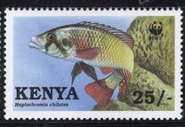 [Worldwide Nature Protection - Lake Victoria Cichlid Fish, tegund ZW]