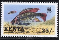 [Worldwide Nature Protection - Lake Victoria Cichlid Fish, tegund ZX]
