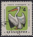 [Nature Conservation - Birds, Tip ALW]