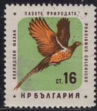 [Nature Conservation - Birds, Tip ALX]