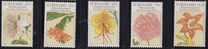 [Flower Drawings by Maria Sibylle Merian, type AOG]