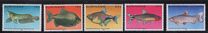 [Tropical Fish, type ANN]