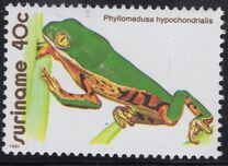 [Frogs, тып AOZ]
