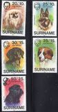 [Child Welfare - Pet Dogs, տեսակ AHD]