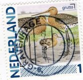 [Birds - Personalized Stamp, type CII]