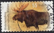 [Repopulation of the Indigenous Wildlife - Lynx and Elk, tip CUZ]