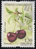 [Flora - Fruits, type DTL]