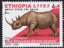 [Rinoceronte. Diceros bicornis., tipo BDR9]