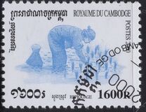 [Rice Cultivation, type BSU]