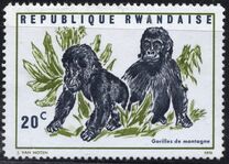 [Local Fauna - Mountain Gorilla, 類型 IT]