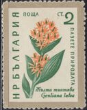 [Flowers, type AJU]