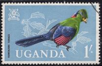 [Birds, tyyppi AG]