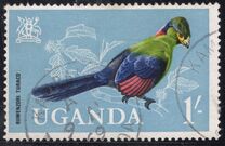 [Birds, tyyppi AG]