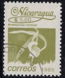 [Flowers, loại BRS]