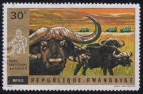 [Akagera National Park, Вид MD]