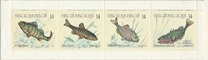 [Fish, סוג BON]
