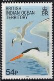 [Birds, Tip CH]