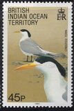[Birds, Tip CF]