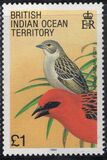 [Birds, Tip CL]