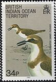 [Birds, Tip CE]