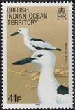 [Birds, Tip CF]