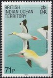 [Birds, Tip CJ]
