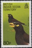 [Birds, Tip CD]