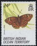 [Butterflies, Tip EH]