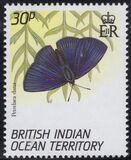 [Butterflies, Tip EI]
