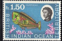 [Marine Life, Tüüp L]