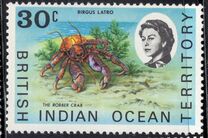 [Marine Life, type V]