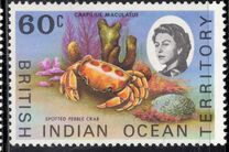 [Marine Life, type W]