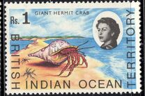 [Marine Life, Tüüp K]