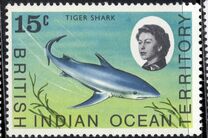 [Marine Life, Tüüp D]