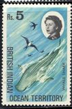 [Marine Life, Tüüp O]