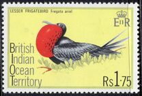 [Birds, tegund BG]