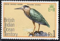 [Birds, tegund BF]