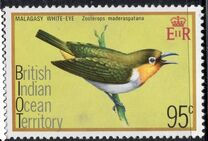 [Birds, tegund BE]