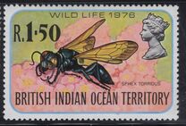 [Insects, Tipi BU]