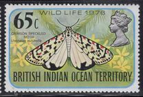 [Insects, Tipi BS]
