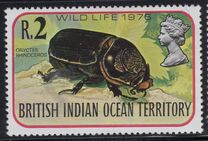 [Insects, Tipi BV]