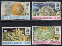 [Corals, type AD]