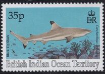 [Sharks, jenis EO]