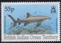 [Sharks, jenis ER]