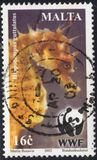 [WWF - Seahorse, typ AKK]